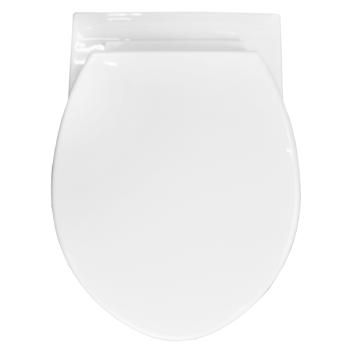 Приобрести loranto инсталляция + унитаз подвесной project в комплекте с быстросъемным сиденьем микролифт (4501+pr1100n)