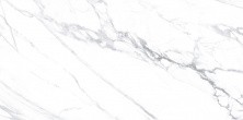 Плитка настенная AltaCera Lima Calacatta 249x500, светло серый WT9LIM00