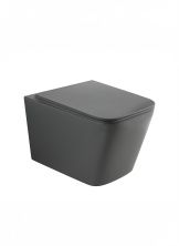 Унитаз подвесной безободковый WONZON & WOGHAND RONA, серый матовый (WW-UP2216-MG)