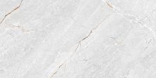 Global Tile Плитка керамическая Aventura GT Сер. 50*25 _ 1 \74,25 GT136VG