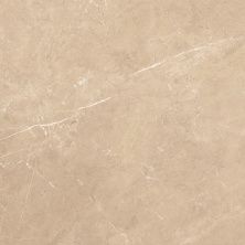 Global Tile Плитка грес глаз. Sunny_GT Бежевый 60*60 _ 1 \43,2 GT60601802MR