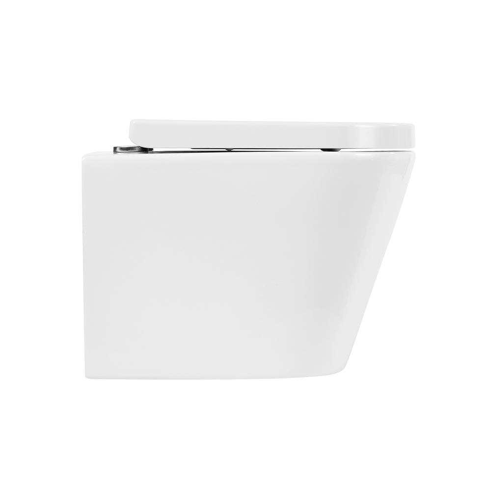 Приобрести belbagno унитаз безободковый подвесной flay-r с сиденьем дюропласт, микролифт, белый bb053chr/bb865sc