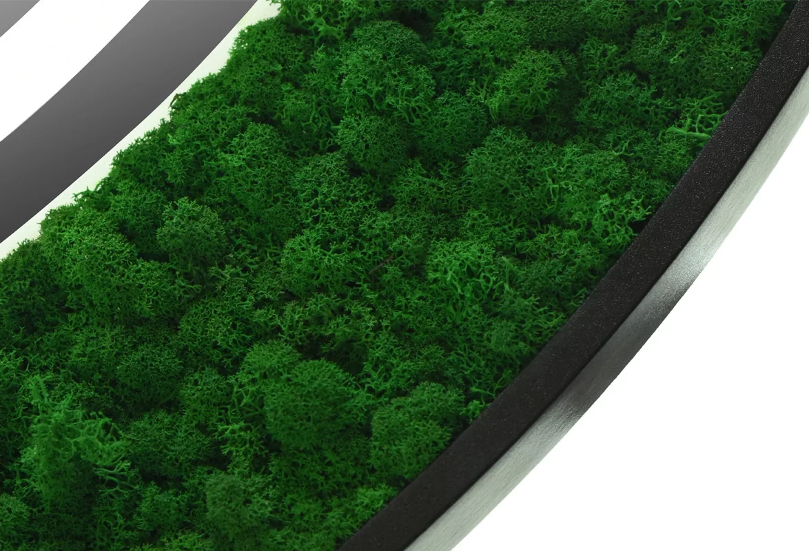 Приобрести continent зеркало с подсветкой forest 80х80 см, натуральный стабилизированный мох