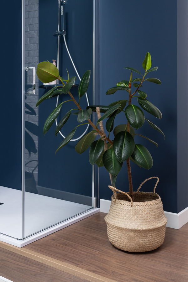 Приобрести aquanet душевая дверь cinetic ae12-n-120h190u-ct 1200, прозрачное стекло