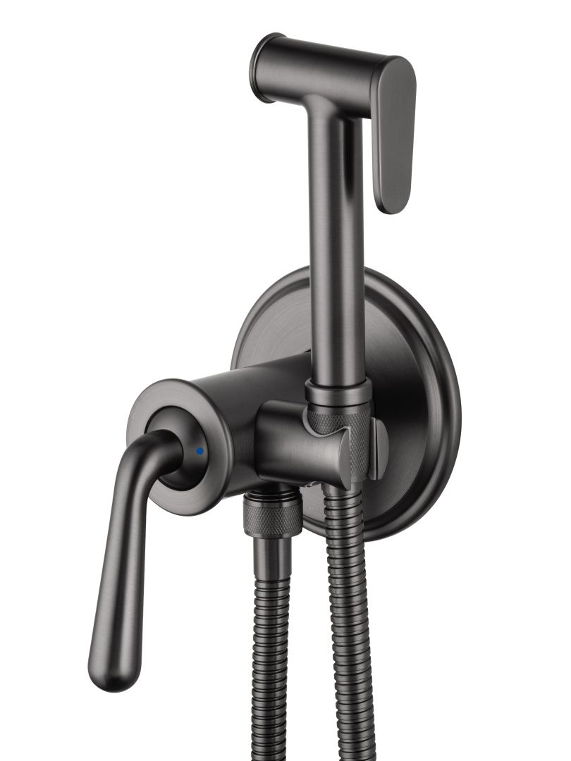Приобрести смеситель с гигиеническим душем встраиваемый wonzon & woghand steam, темный графит (ww-88829008-bgm)
