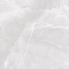Global Tile Керамогранит Favorito_GT Бел. 60x60 полир._ 1\48,96 GT606010703PR