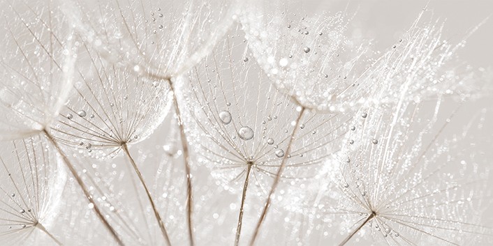 Приобрести декор настенный cersanit avangarde серый