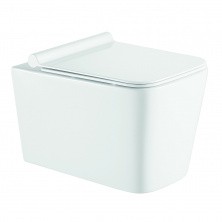 Azario Mona Унитаз подвесной безободковый, в комплекте с сидением микролифт (AZ-0057)