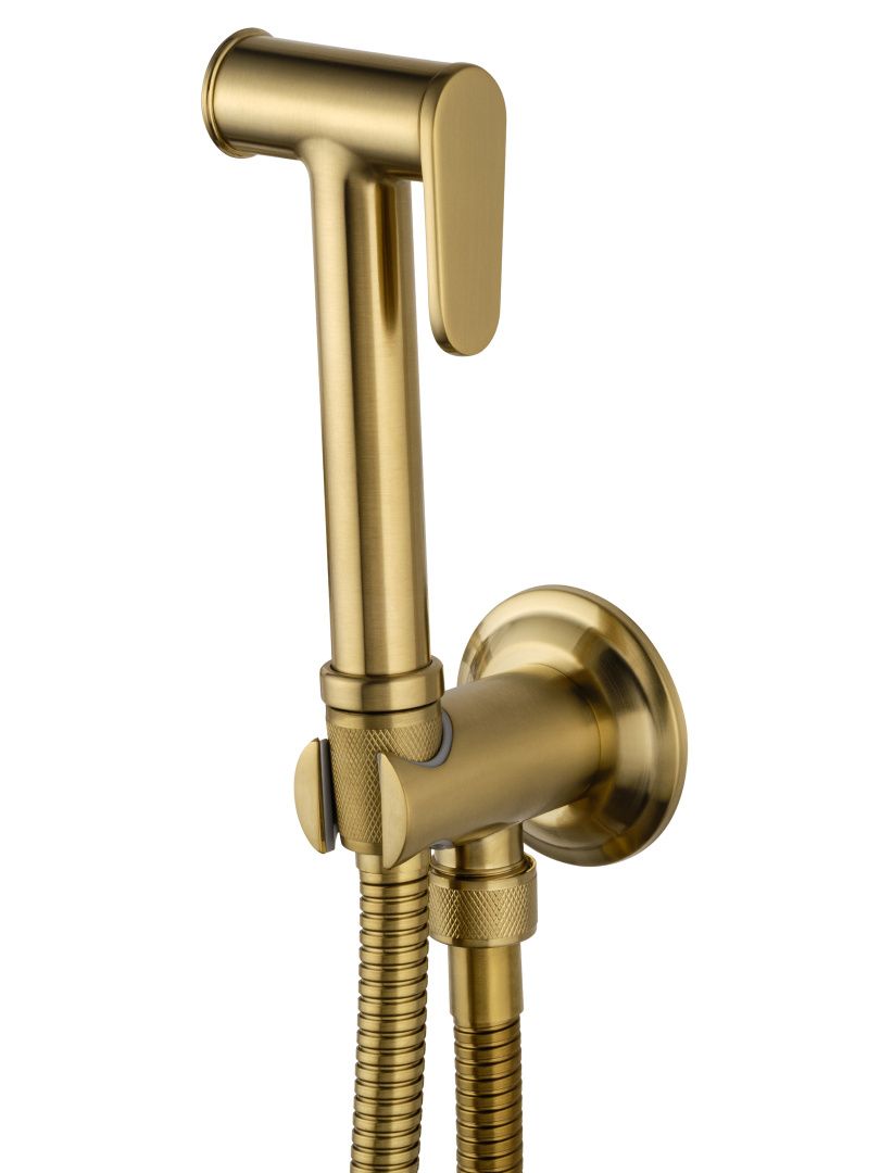 Приобрести смеситель с гигиеническим душем встраиваемый wonzon & woghand steam, брашированное золото (ww-88849008-bg)