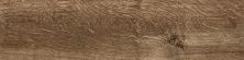 Global Tile Плитка грес глаз. Оксфорд Кор. 59,4*14,7 _ 1 \65,5 GT51VGNG