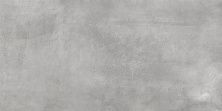 Global Tile Керамогранит Norse_GT Сер. 30x60 _ 1\58,32 GT186VG