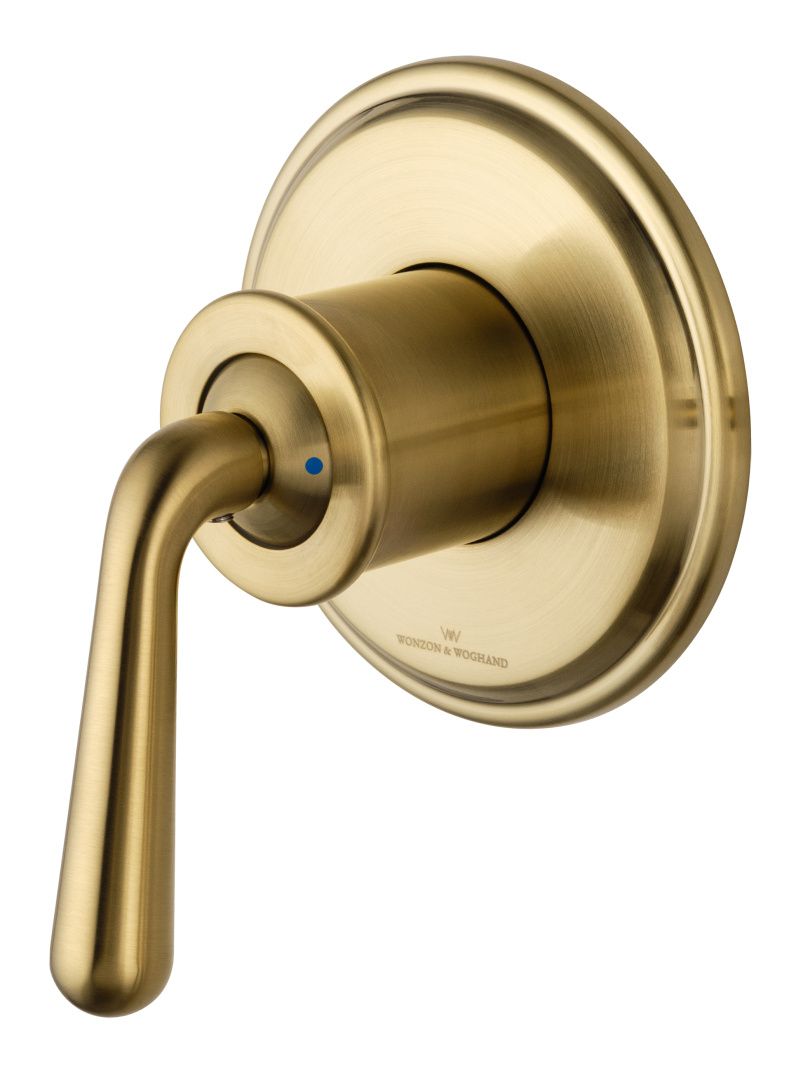 Приобрести смеситель с гигиеническим душем встраиваемый wonzon & woghand steam, брашированное золото (ww-88849008-bg)