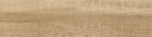 Global Tile Керамогранит Leo_GT Кор. 15x60 _ 1\67,5 15LE0011