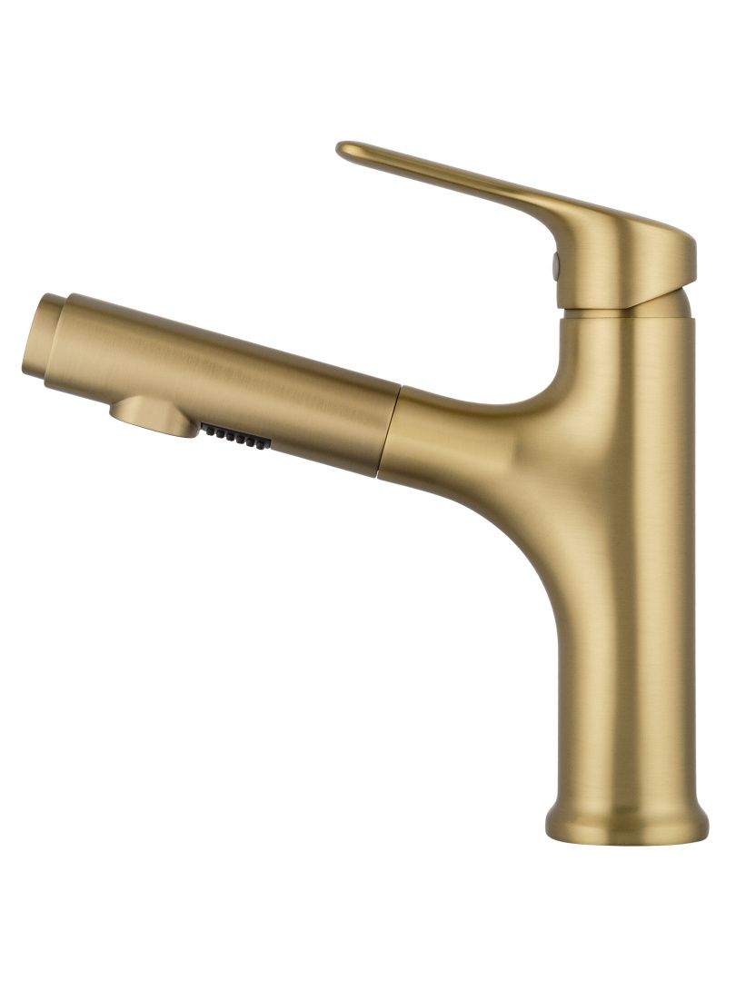 Приобрести смеситель для раковины с выдвижным изливом wonzon & woghand, брашированное золото (ww-ae4151-bg)