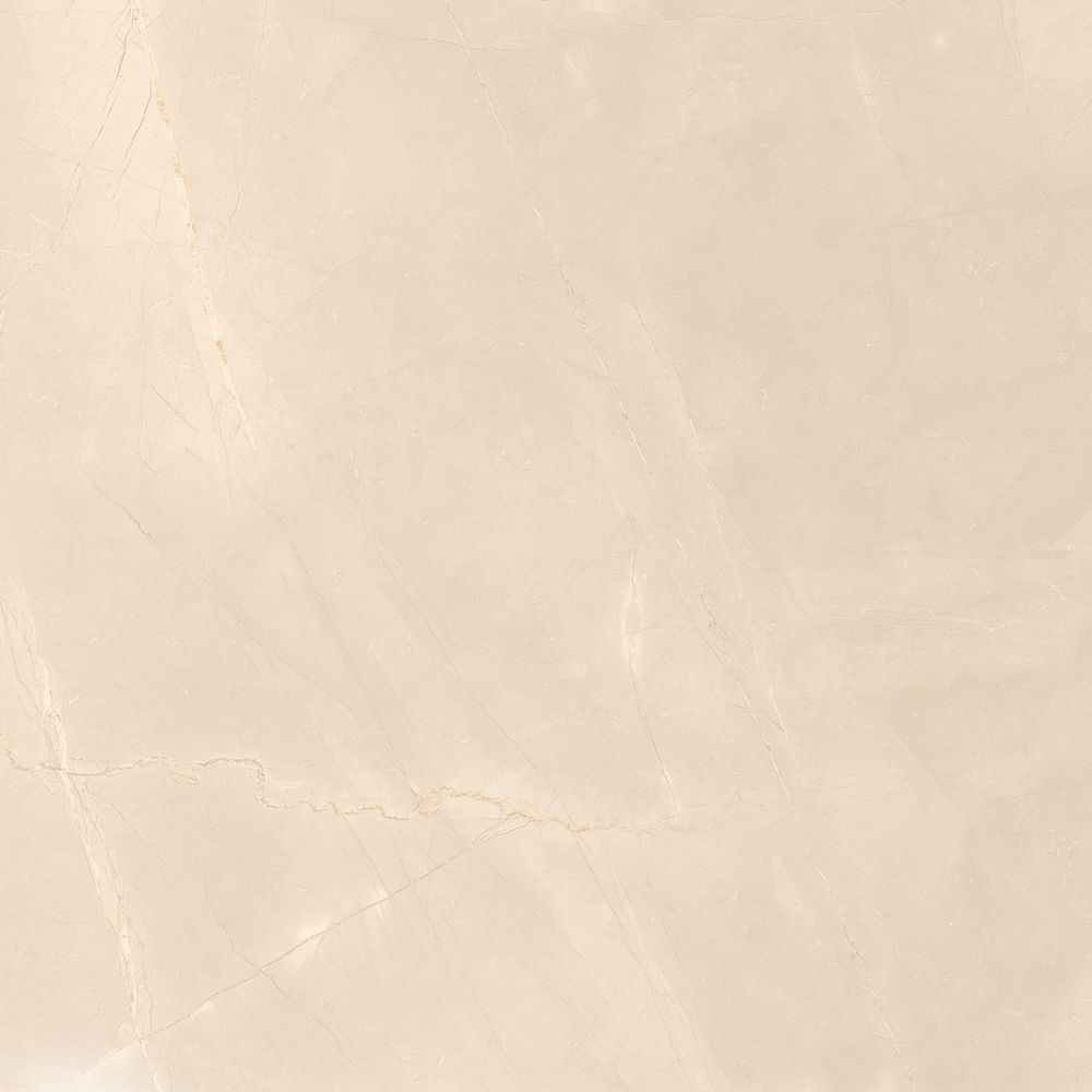 Приобрести global tile керамогранит armany_gt светло-беж. 60x60 полир._ 1\48,96 gt60606907pr