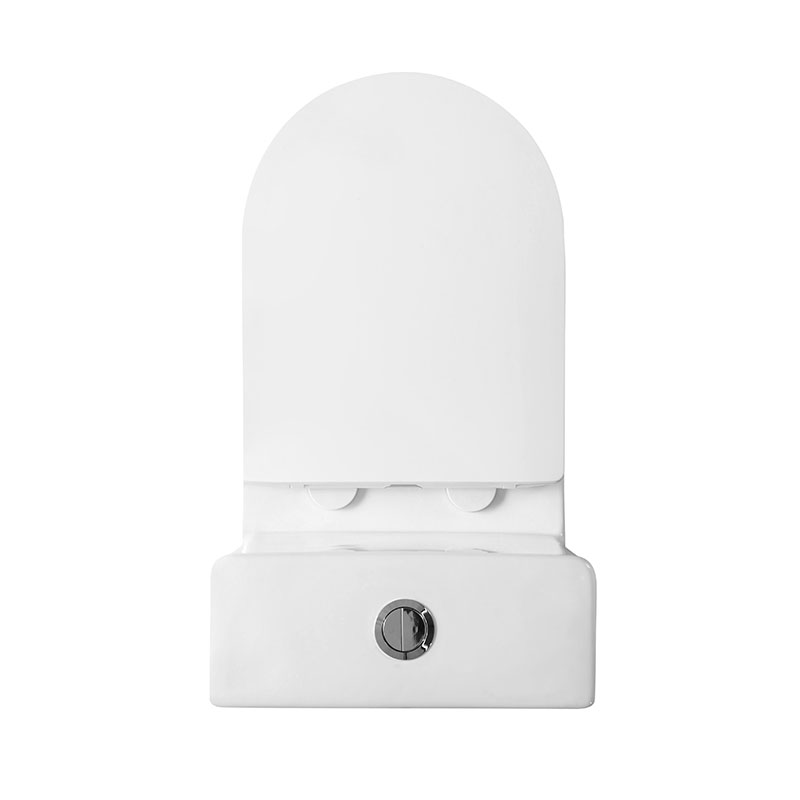 Приобрести belbagno унитаз-моноблок с сиденьем lounge, белый bb8618cpr-mn/sc