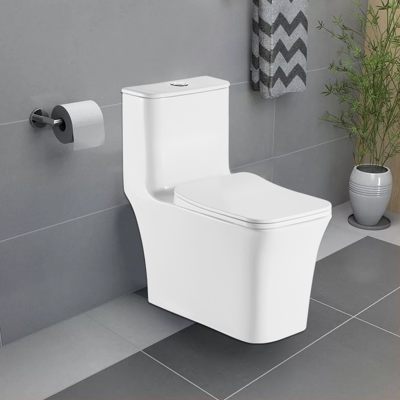 Приобрести azario напольный унитаз-компакт gressa, безободковый, c крышкой дюропласт. с микролифтом az-1111-g