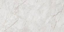 Керамический гранит AZARIO MARINO GREY 60х120 Glossy