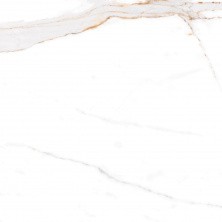 Керамический гранит AZARIO AFION GOLD 60х60 Glossy