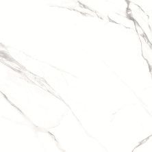 Global Tile Керамогранит Alfanzo_GT Бел. 60x60 _ 1\54,72 GT606012003SPR