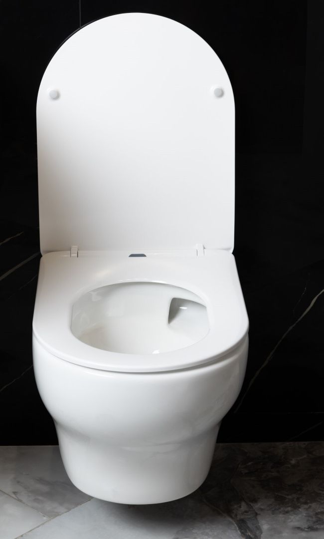 Приобрести boheme подвесной унитаз fiore, белый матовый 978-set-mw