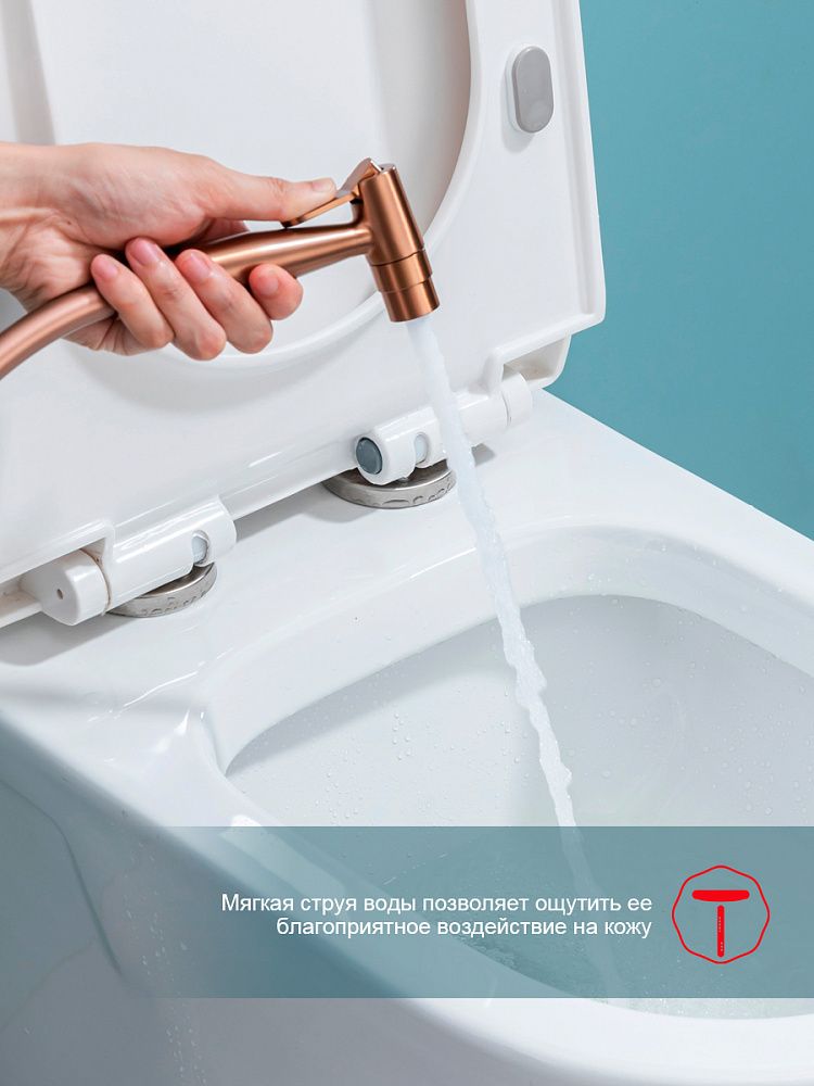 Приобрести raglo смеситель с гигиеническим душем, медь r07.52.33