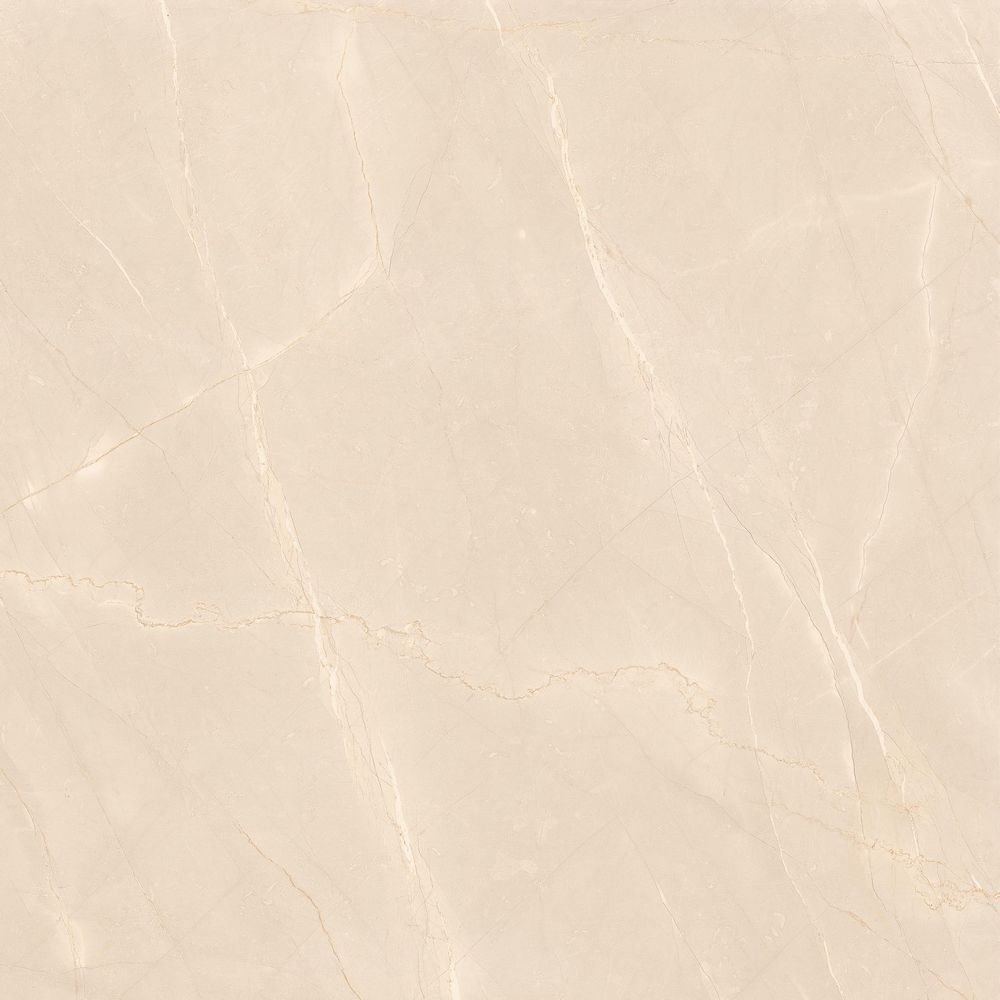 Приобрести global tile керамогранит armany_gt светло-беж. 60x60 полир._ 1\48,96 gt60606907pr