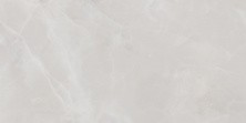 Плитка настенная Alma Ceramica Rivoli 50х24,9, светло серая