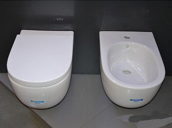 Приобрести унитаз подвесной roca meridian 56, 7.3462.4.700.0