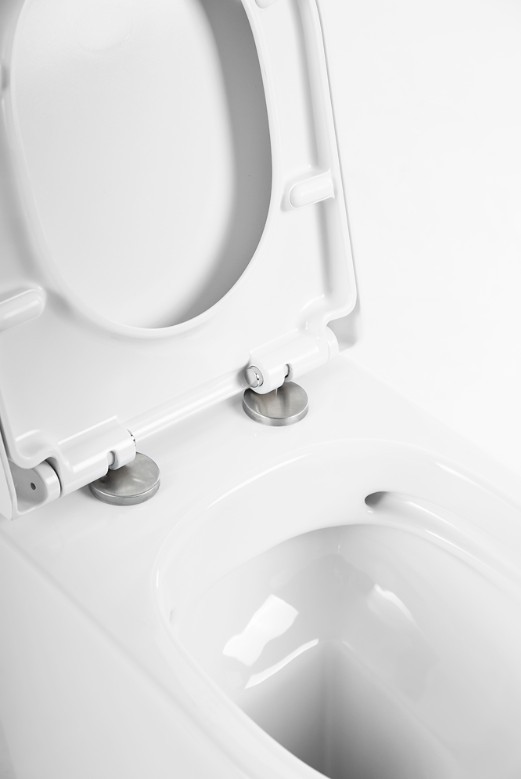 Приобрести унитаз приставной безободковый belbagno marino bb105cbr