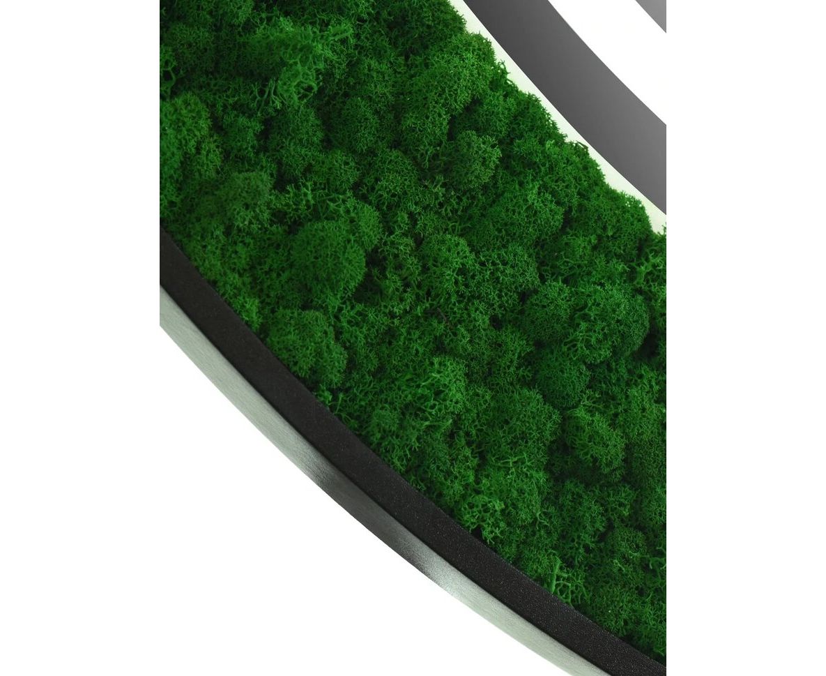 Приобрести continent зеркало с подсветкой forest 100х100 см, бесконтактный включатель, зеленое