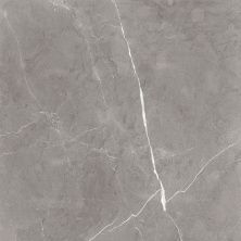 Global Tile Керамогранит Encanto_GT Серый 60x60 _ 1\43,2 GT60603001MCR