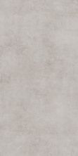 Global Tile Плитка грес глаз. Stardust_GT Светло-сер. 60*120 карвинг_ 1 \43,2 GT120600506MCR