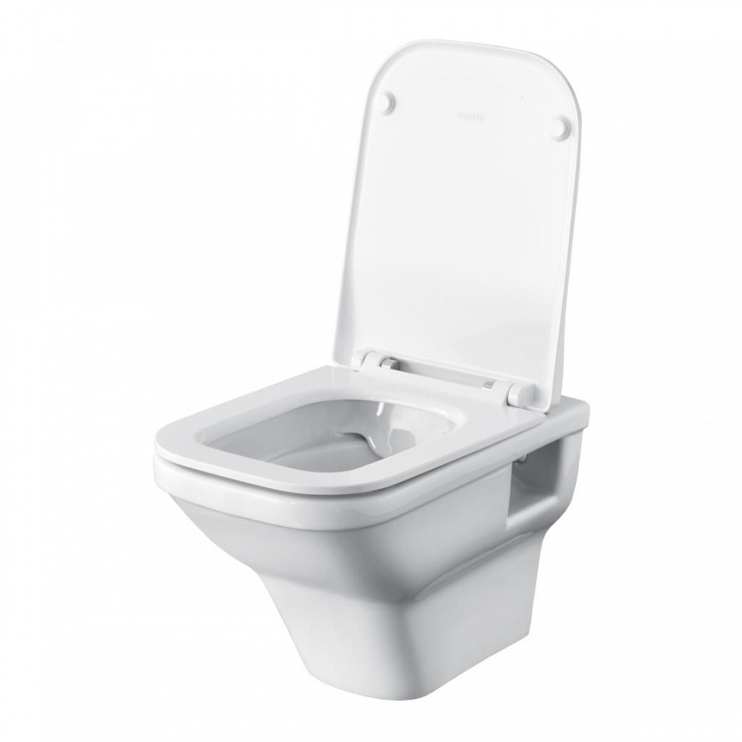 Приобрести пэк santek лайн подвесная чаша rimless + инсталляция + сиденье slim, softclose + панель смыва хром (1.wh50.1.729)