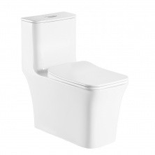 Azario Напольный унитаз-компакт Gressa, безободковый, c крышкой дюропласт. с микролифтом AZ-1111