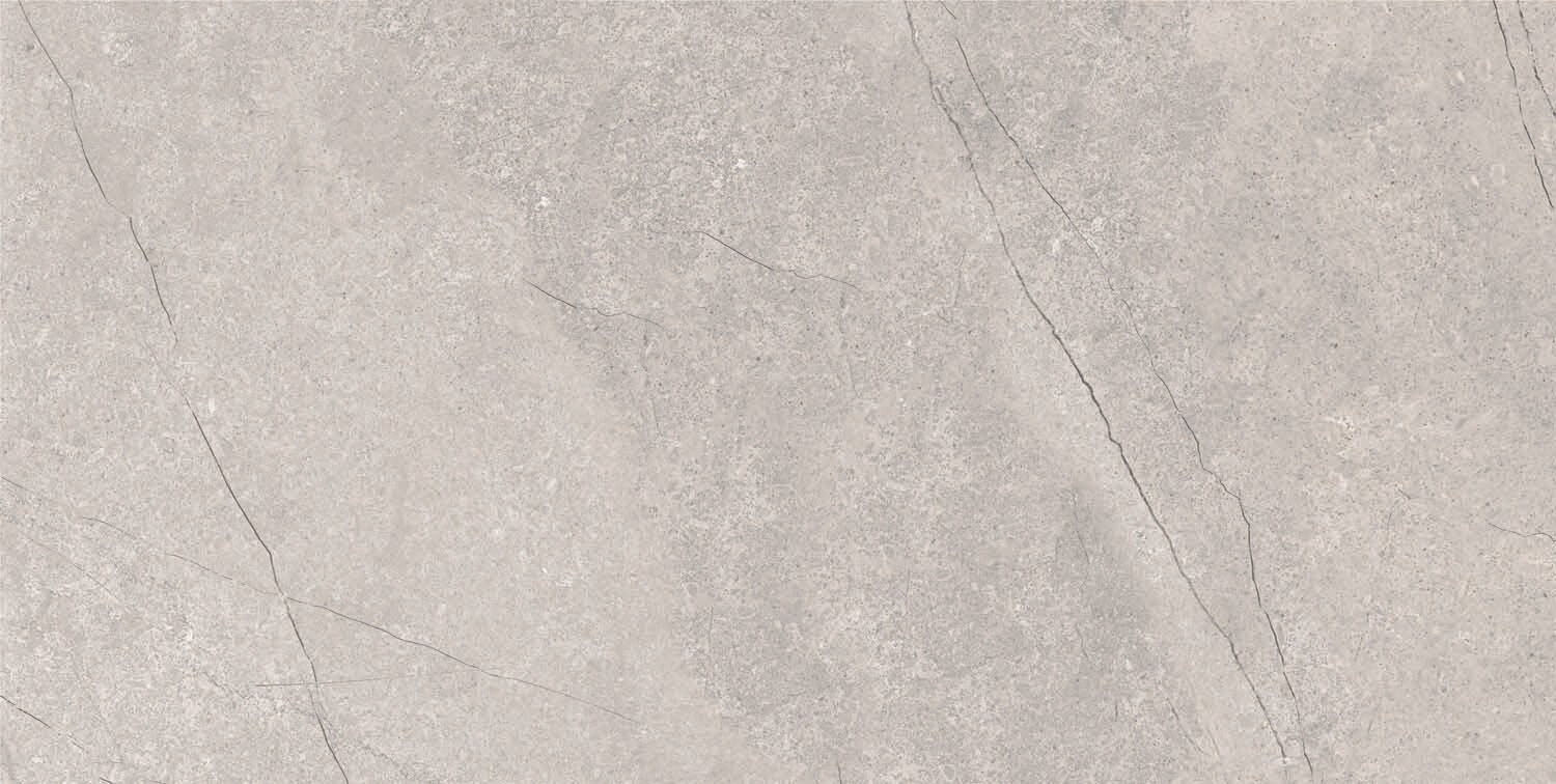 Приобрести керамический гранит azario fossil grey 60х120 matt