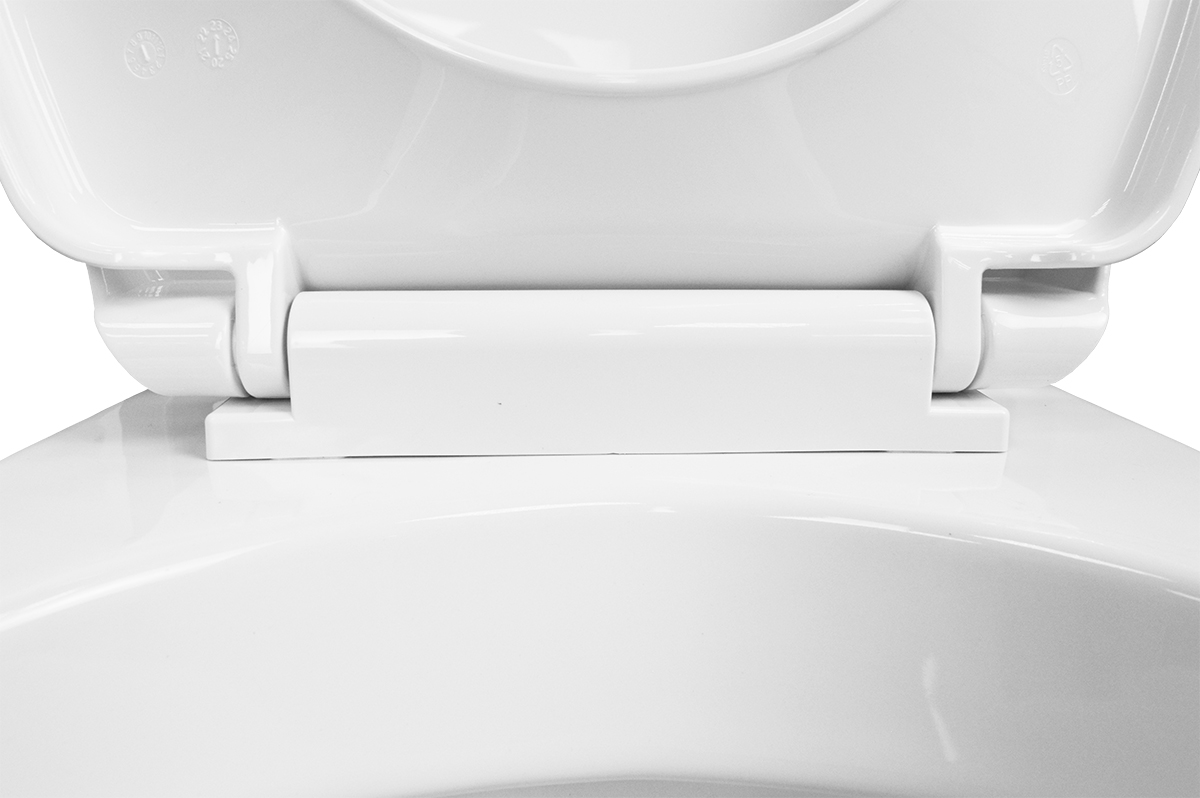 Приобрести loranto инсталляция + унитаз подвесной project в комплекте с быстросъемным сиденьем микролифт (4501+pr1100n)