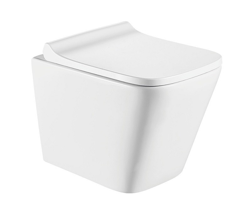 Приобрести унитаз подвесной безободковый с сиденьем ceramalux rimless 5171mw