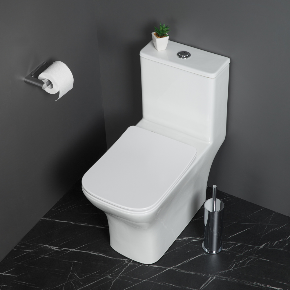 Приобрести belbagno унитаз-моноблок с сиденьем neon, белый bb8617cpr-mn/sc