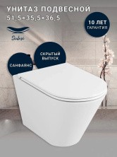 Sintesi Подвесной безободковый унитаз ESSLER TORNADO 3.0.с крышкой-сиденьем дюропласт,микролифт