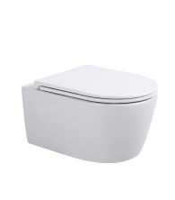 Sintesi Подвесной безободковый унитаз DANTE с крышкой-сиденьем дюропласт, микролифт