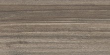 Плитка настенная New Trend Retro Essense Brown 249*500