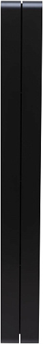 Приобрести aquanet полка магнум 15x130 см черная матовая, вертикальная 00302227