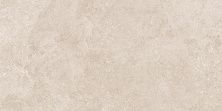 Global Tile Керамогранит Nostrum_GT Светло-беж. 30x60 _ 1\46,08 6260-0210