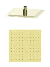 Верхний душ WONZON & WOGHAND, Брашированное золото (WW-88DP02-BG)