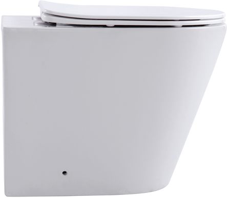 Приобрести aquanet унитаз приставной rimless atago 2.0 f lx-1906