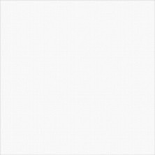 Плитка напольная Delacora Exotic Diamond White 410*410