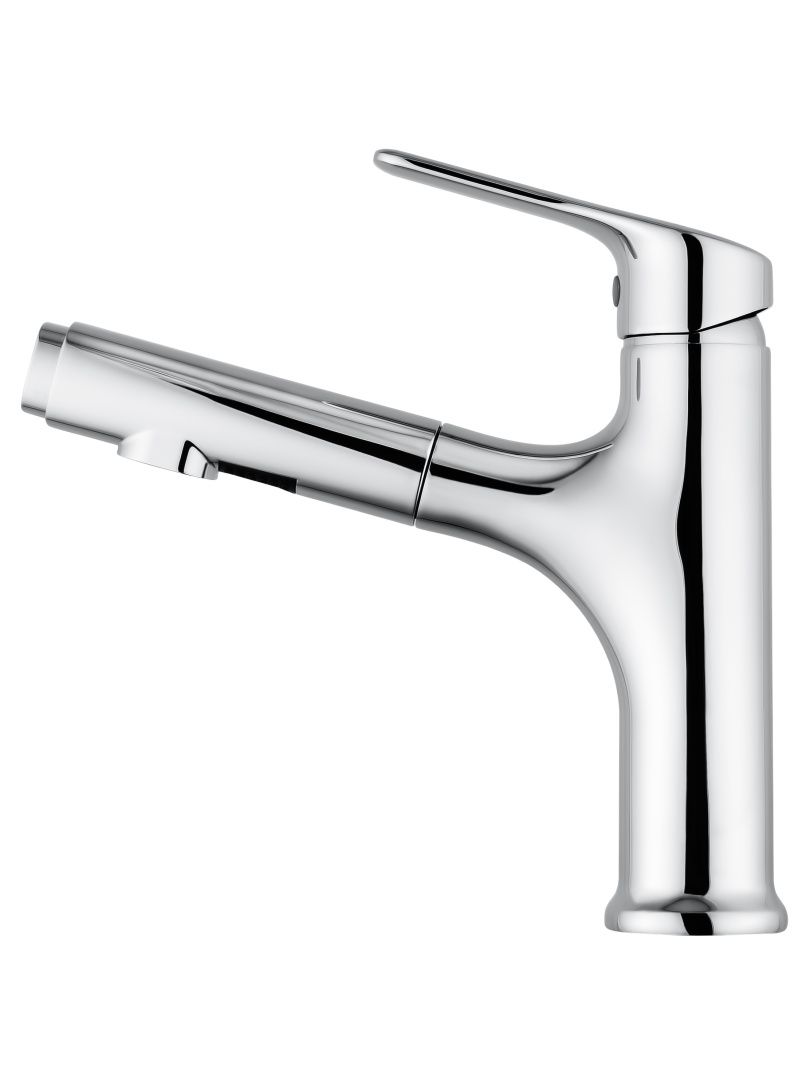 Приобрести смеситель для раковины с выдвижным изливом wonzon & woghand, хром (ww-ae4151-cr)