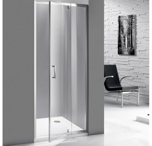 Душевая дверь Mirsant Line1 900/1000x2000