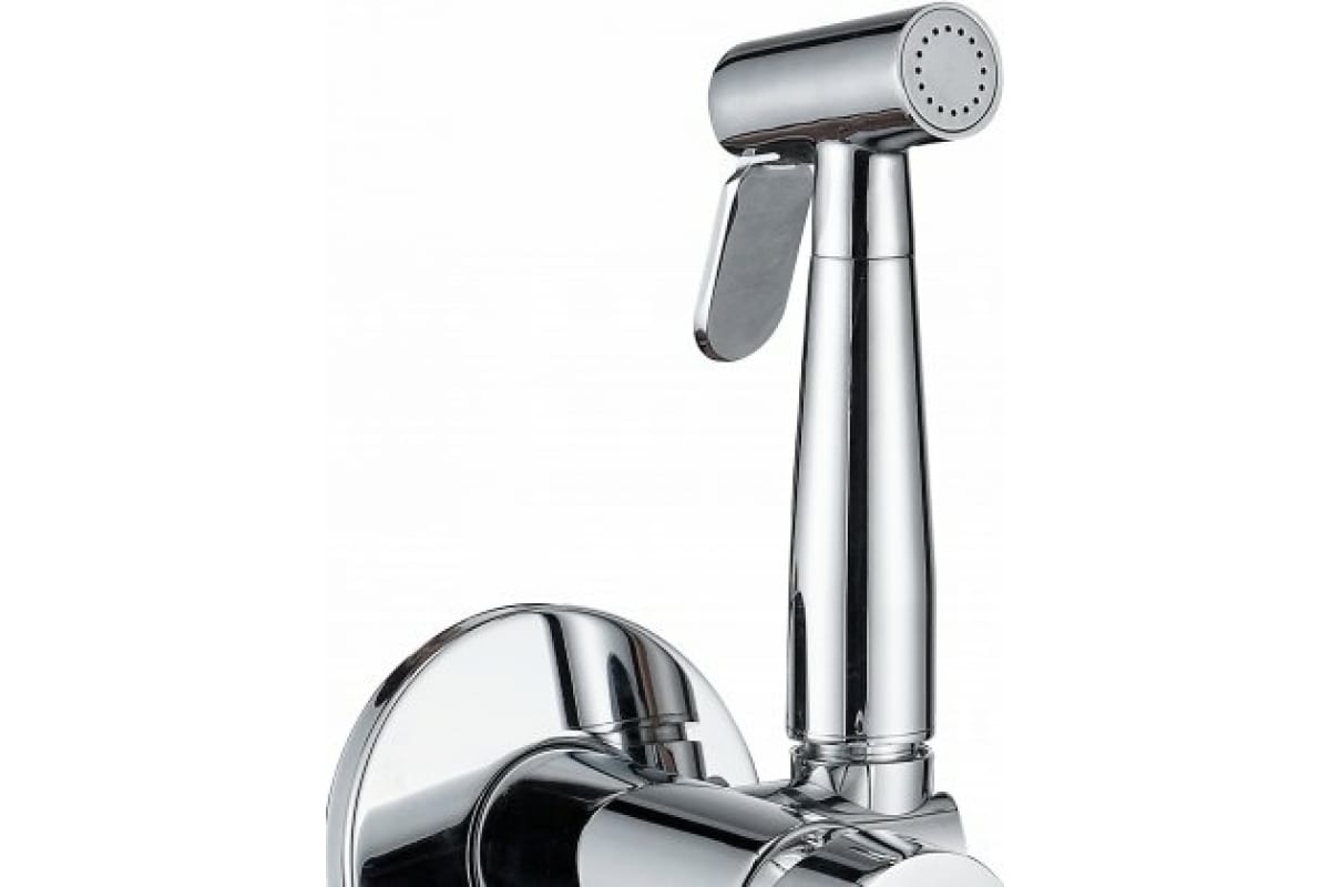 Приобрести aquanet смеситель с гигиеническим душем passion af300-52с (с внутренней частью)